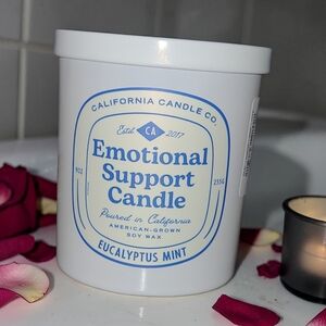 Eucalyptus Mint Emotional Support Candle - 9oz